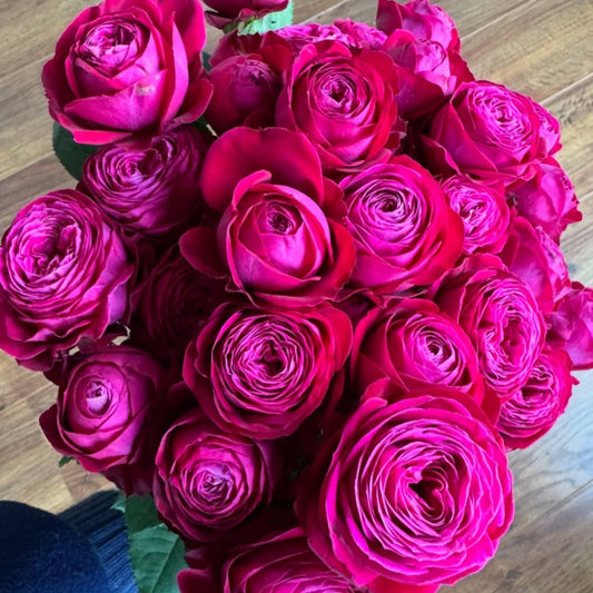 Dima Bombastic Rose-浮夸迪马 | Netherlands Cut Roses