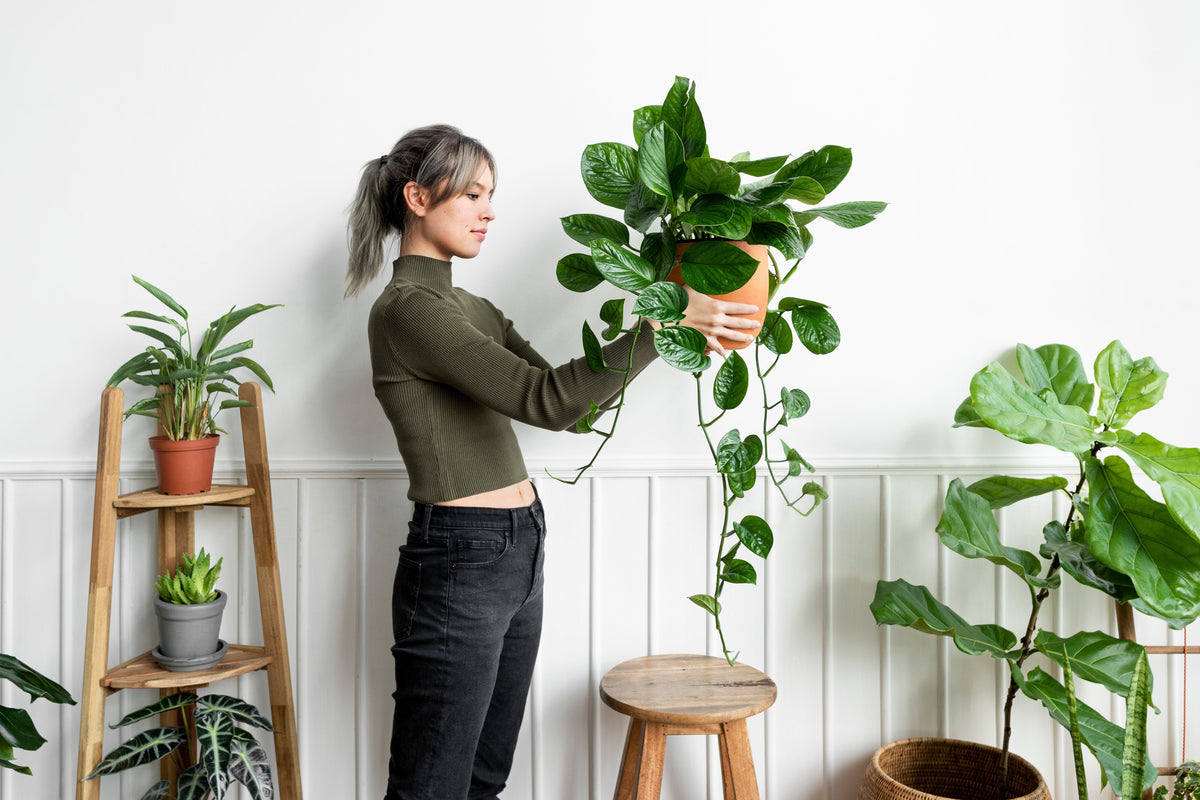 Transforming Small Spaces into Green Retreats